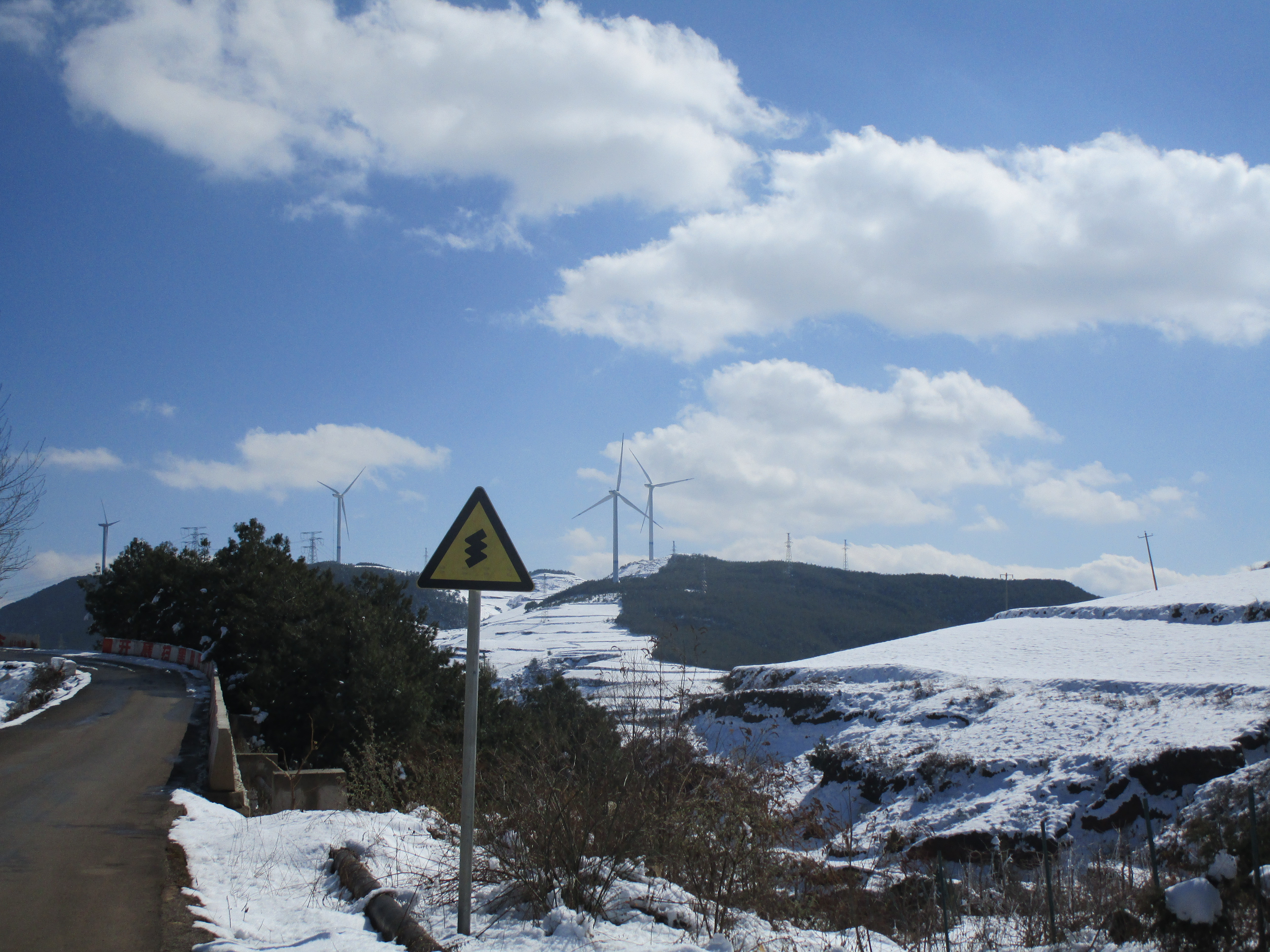 5日累计涨幅2.65%