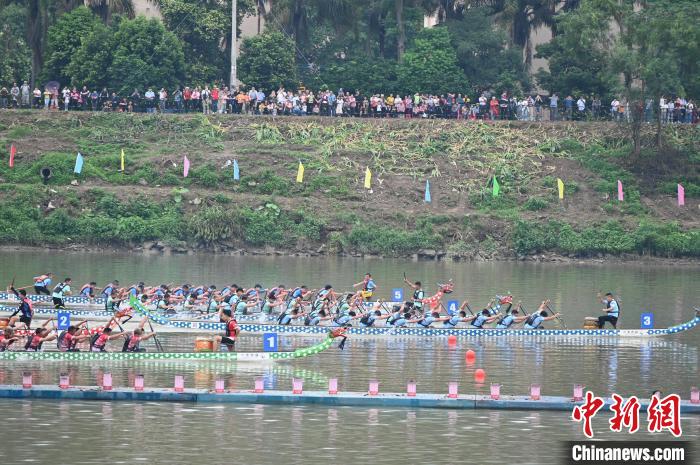 2025年粤港澳大湾区龙舟邀请赛在阳山连江河畔开